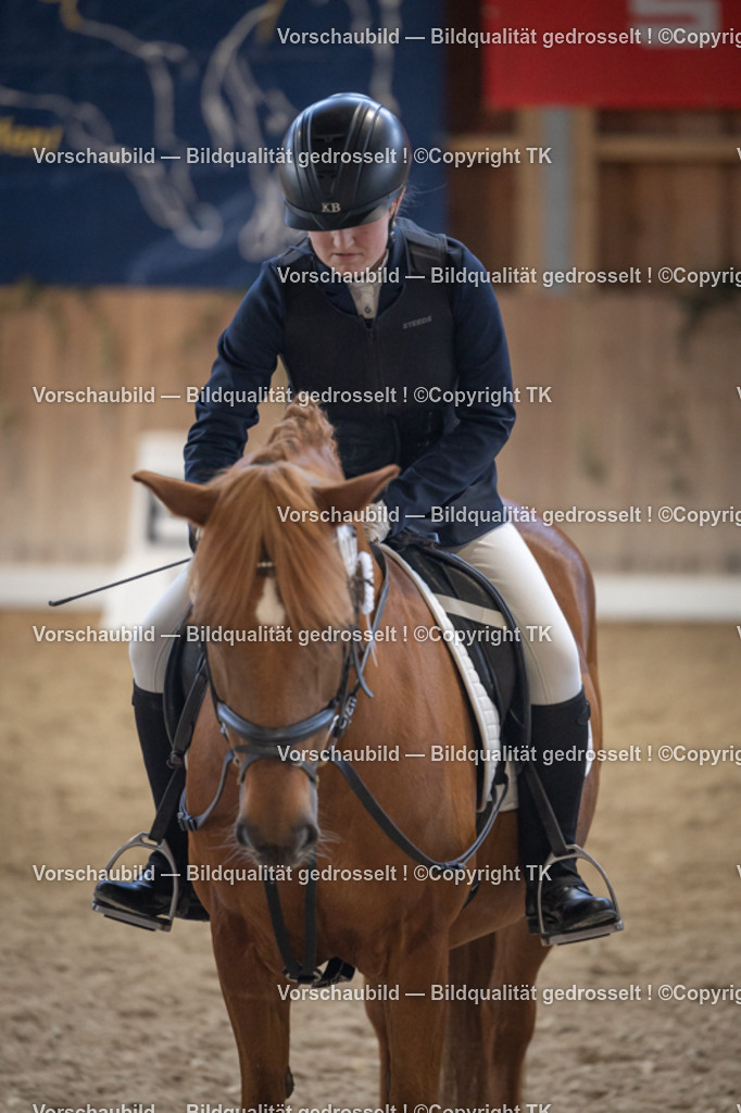 _D5A5708 | Emotionale Pferde- & People-Fotografie rund um Heidelberg, Leimen & Umgebung. Natürliche Fotos von Pferd, Mensch & Familie. Jetzt Termin sichern!