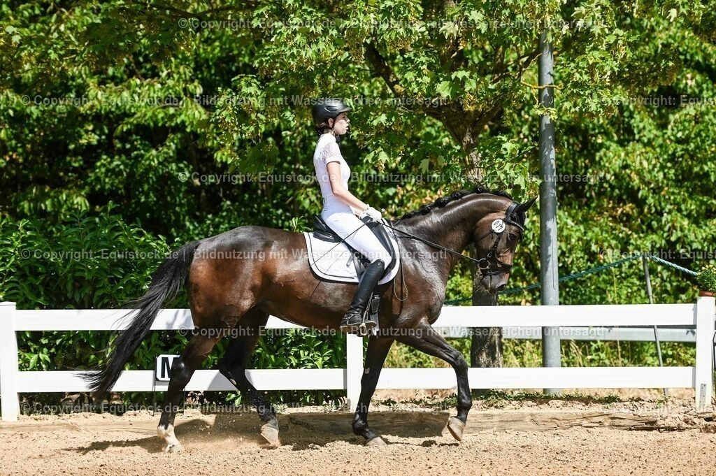 20230715_02_Dressurreiterprüfung Kl.L_0047 | equistock
