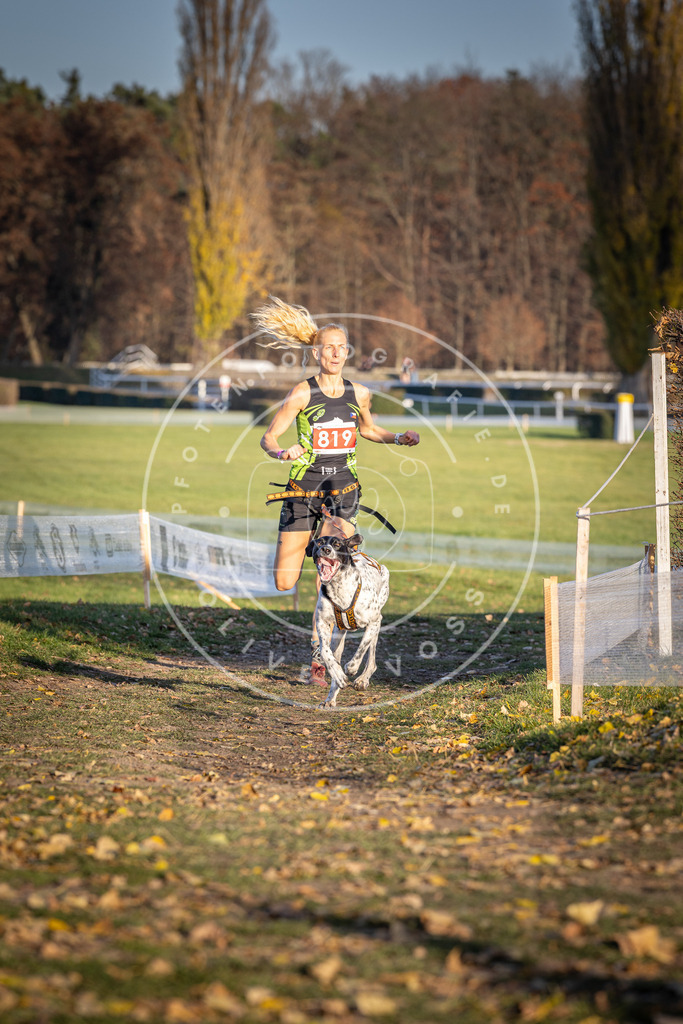 CaniXpix_DV3A3205 | Hundefotografie, Tierfotograf, Pfotenfotografie, Fotoshooting Hund, Hunde Portrait, Hundesport, Hundeportraits, Heideshooting, Hunde, Sportfotograf, Hundefotograf, Turnierhundsport, THS,  - Realisiert mit Pictrs.com