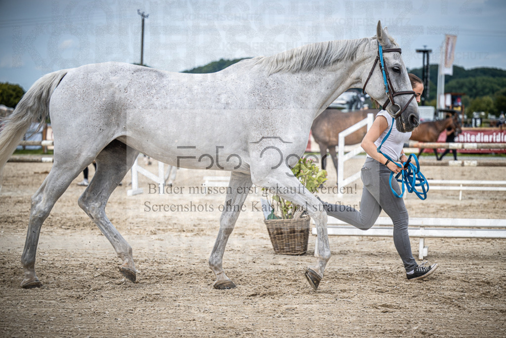 DOS_0278 | Entdecke hochwertige Reitturnierfotos von Foto Oger. Professionell, emotional und authentisch – jetzt Lieblingsmomente im Shop bestellen.Deutschlandweite Turnierfotografie. - Realisiert mit Pictrs.com