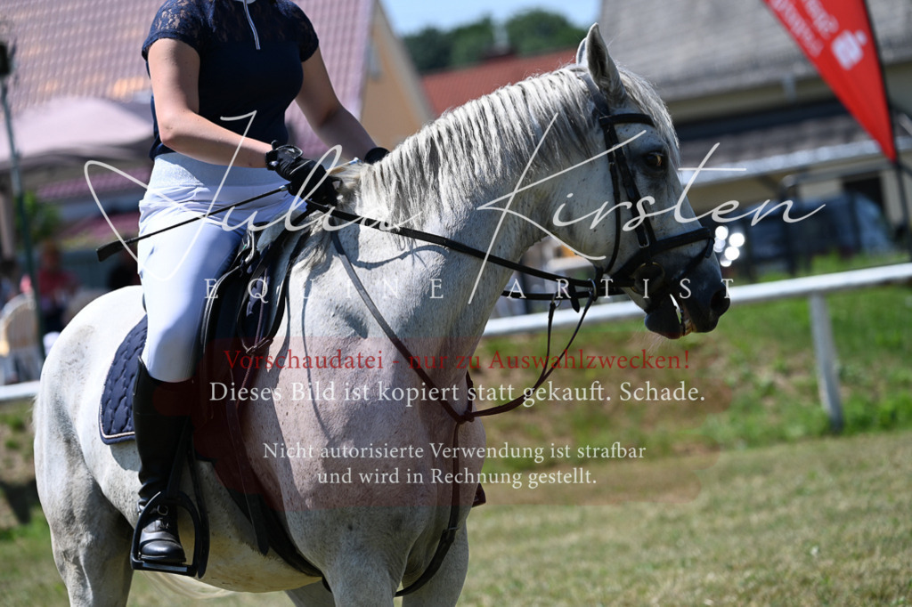 DSC_0611 | Pferde- und Turnierfotografie in Westsachsen. Pferdeportraits, Auftragszeichnungen und intuitive Kunst.