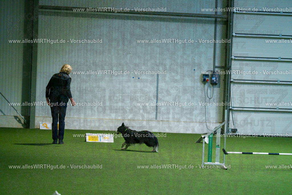 7R502760 | Professionelle Tierfotografie in Mönchengladbach von Daniel Wirth (allesWIRTHgut). Liebevolle & natürliche Bilder von Hunden & Katzen für unvergessliche Erinnerungen.