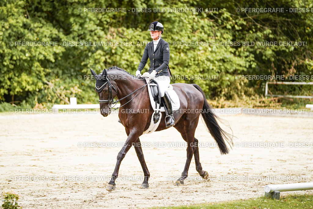 DSC02444 | Pferdegrafie