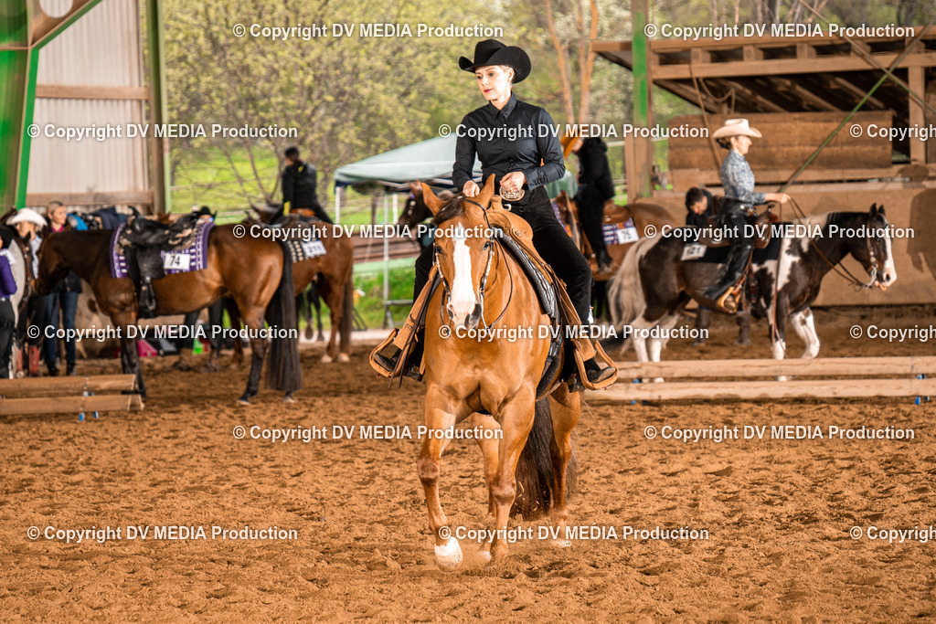 BAL00204 | dv-media-shop - Realisiert mit Pictrs.com