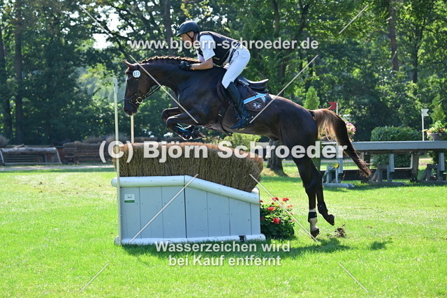 DSP Quickstep W_Bodo Battenberg_884_1073 | Björn Schroeder Pferdefotografie