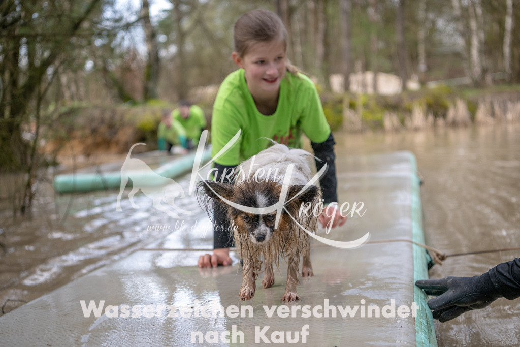 0951_ZZ91525 | kk-dogfotos