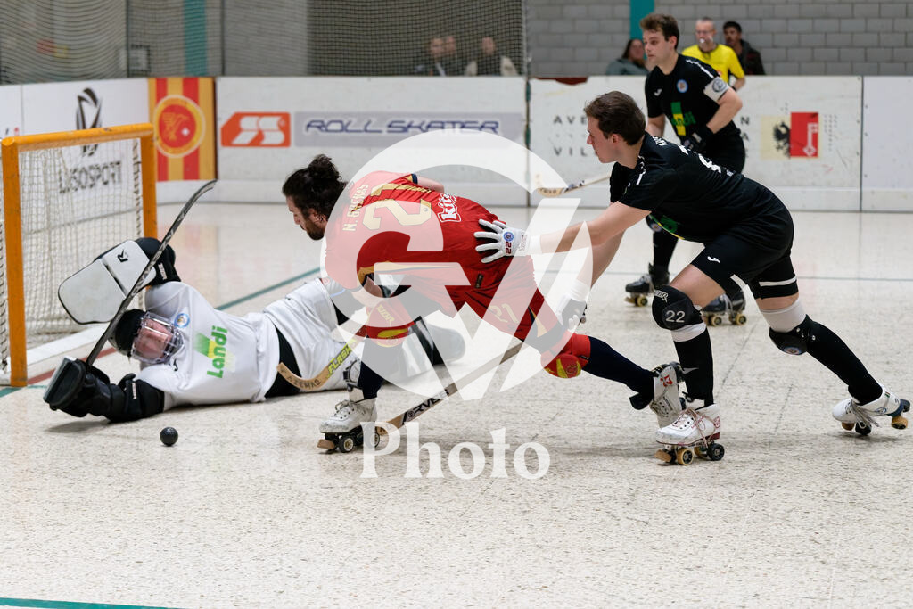 LNA  - Geneve RHC v RHC Diessbach  |  during the LNA  match between Geneve RHC and RHC Diessbach  at Centre sportif de la queue d'arve in Geneve, Switzerland