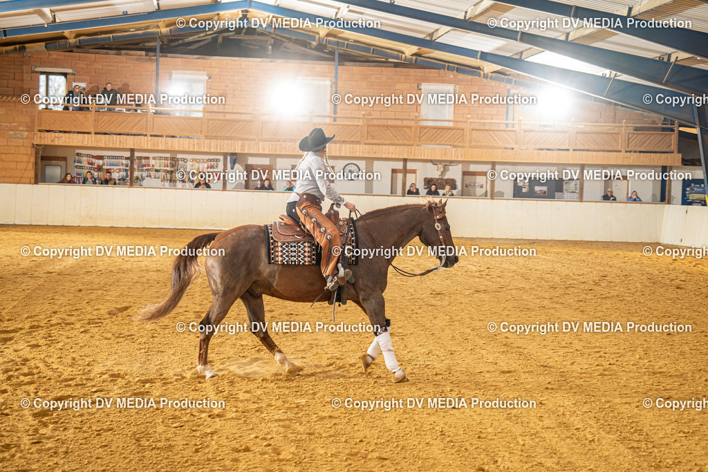 MIT00710 | dv-media-shop - Realisiert mit Pictrs.com