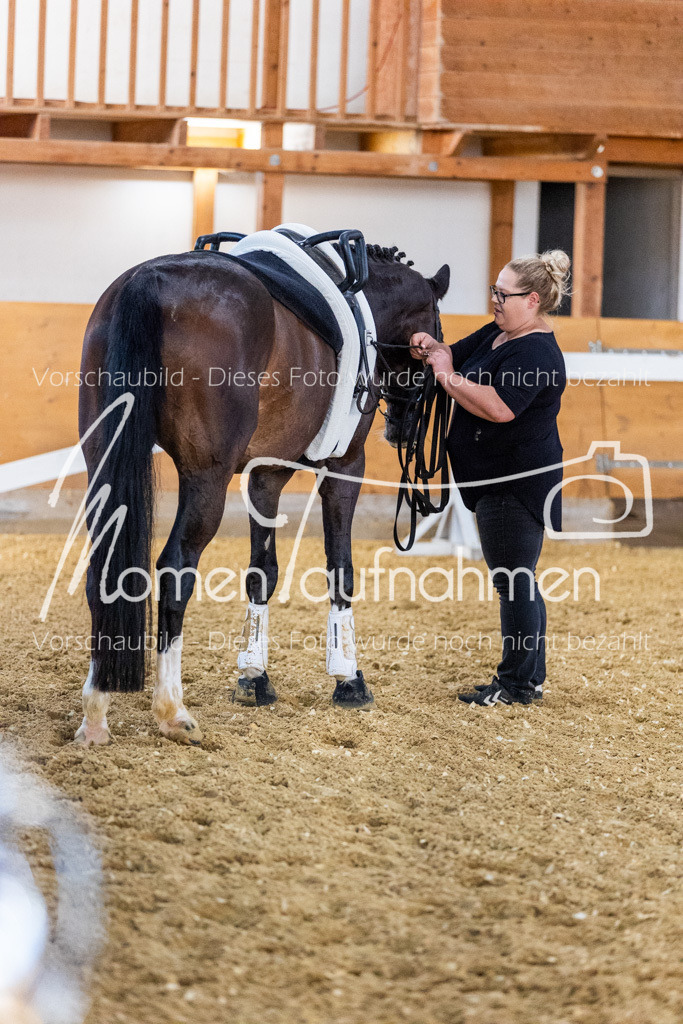 VTD-Voltigierpferde-047 | MomenTaufnahmen Pferdesportfotos