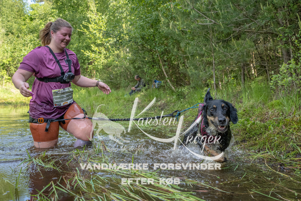 0955DKK9_ZZ93937 | kk-dogfotos
