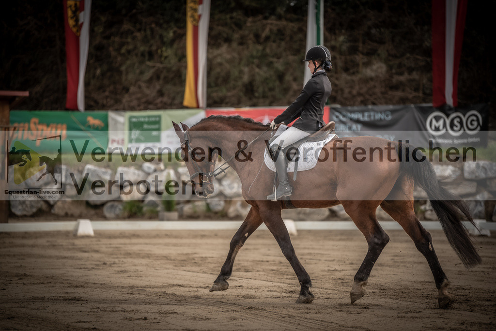 DSC_8256 | equestrian-live-com
