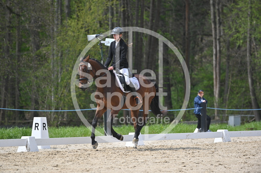 DSC_3446 | sattelsport - Realisiert mit Pictrs.com