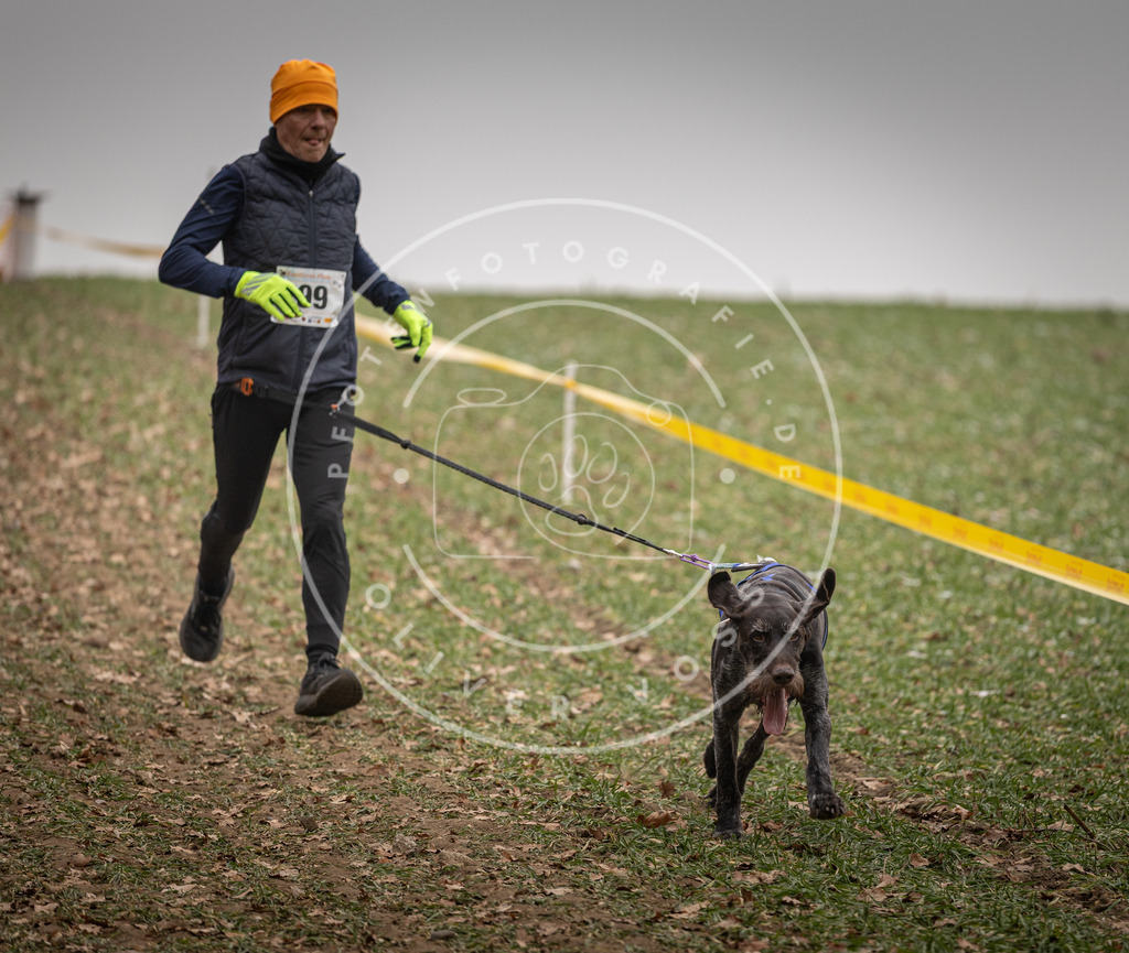 Pfotenfotografie_DV3A4953 | Hundefotografie, Tierfotograf, Pfotenfotografie, Fotoshooting Hund, Hunde Portrait, Hundesport, Hundeportraits, Heideshooting, Hunde, Sportfotograf, Hundefotograf, Turnierhundsport, THS,  - Realisiert mit Pictrs.com