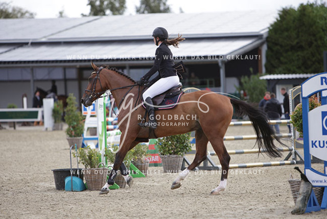 1J2A0823Kari Nansen_ Picante Helas_ Kn1051_ Havekost | Foto- und Videografie für alles rund ums Pferd. Hochwertige Bilder und Videos vom Spring- und Dressurreiten, Voltigieren & mehr. Jetzt aktuelle Veranstaltungen und Preise im Shop ansehen. - Realisiert mit Pictrs.com