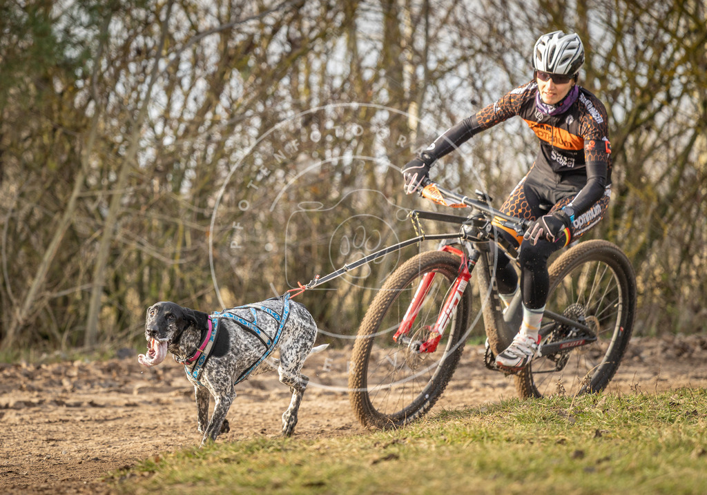 Pfotenfotografie_DV3A7468 | Hundefotografie, Tierfotograf, Pfotenfotografie, Fotoshooting Hund, Hunde Portrait, Hundesport, Hundeportraits, Heideshooting, Hunde, Sportfotograf, Hundefotograf, Turnierhundsport, THS,  - Realisiert mit Pictrs.com