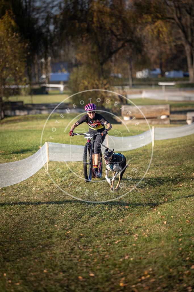 CaniXpix_DV3A1467 | Hundefotografie, Tierfotograf, Pfotenfotografie, Fotoshooting Hund, Hunde Portrait, Hundesport, Hundeportraits, Heideshooting, Hunde, Sportfotograf, Hundefotograf, Turnierhundsport, THS,  - Realisiert mit Pictrs.com