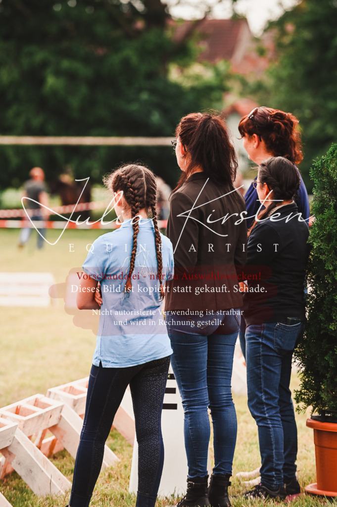 DSC_5199 | Pferde- und Turnierfotografie in Westsachsen. Pferdeportraits, Auftragszeichnungen und intuitive Kunst.