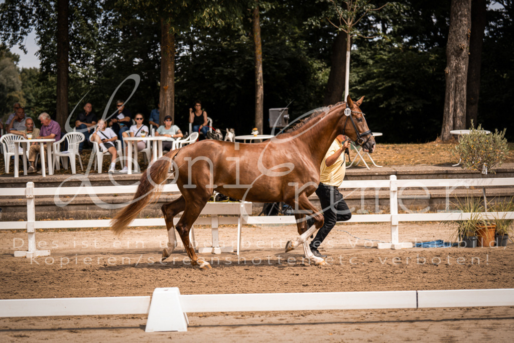 2. Fr00011 | Leoni Ertmer Photography - Realisiert mit Pictrs.com