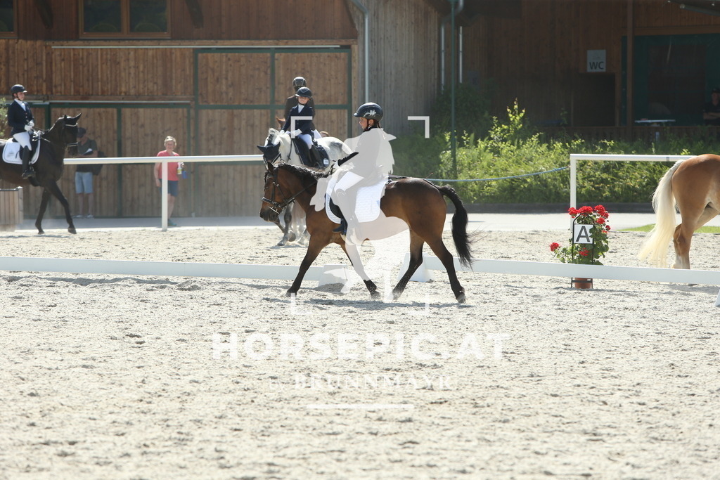 DL2Q0889 | Willkommen bei Brunnmayr - Design & Fotografie – Ihrem Spezialisten für Reitturniere und Pferdeveranstaltungen in Oberösterreich, Salzburg und Bayern! Seit über 17 Jahren sind wir leidenschaftlich dabei.