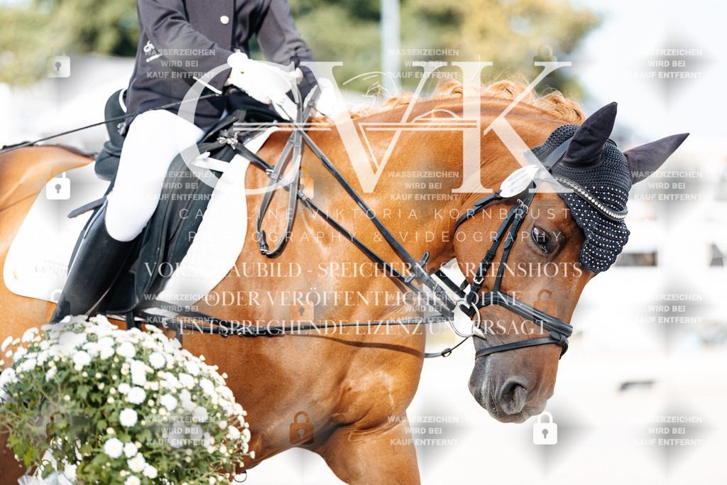 CK903838 | Turnierfotografie Pferdefotografie Trier Rheinland-Pfalz Pferdesport Reitsport Tierfotografie Sportfotografie Pferdevideo Pferdevideografie Equestrianvideography equestrianphotography  - Realisiert mit Pictrs.com