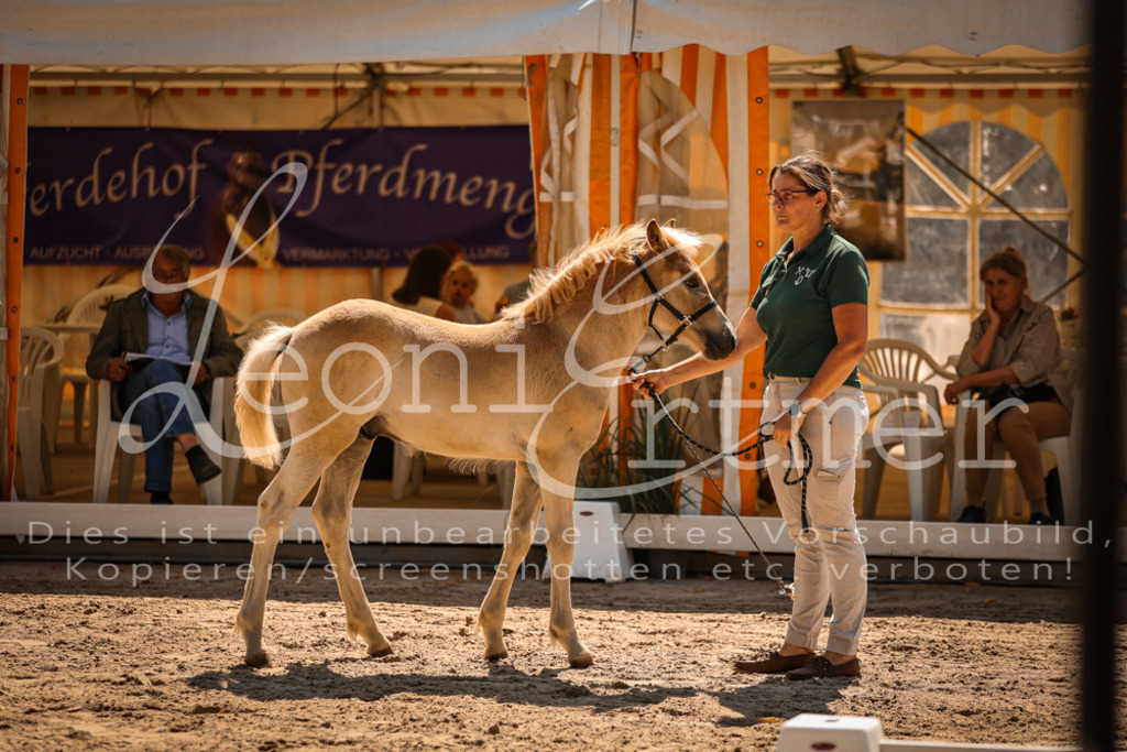 06.DoH00075 | Leoni Ertmer Photography - Realisiert mit Pictrs.com