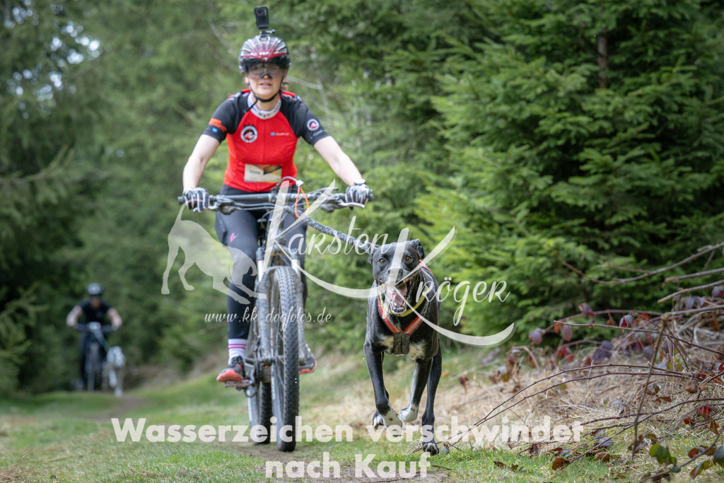1311_ZZ93894 | kk-dogfotos