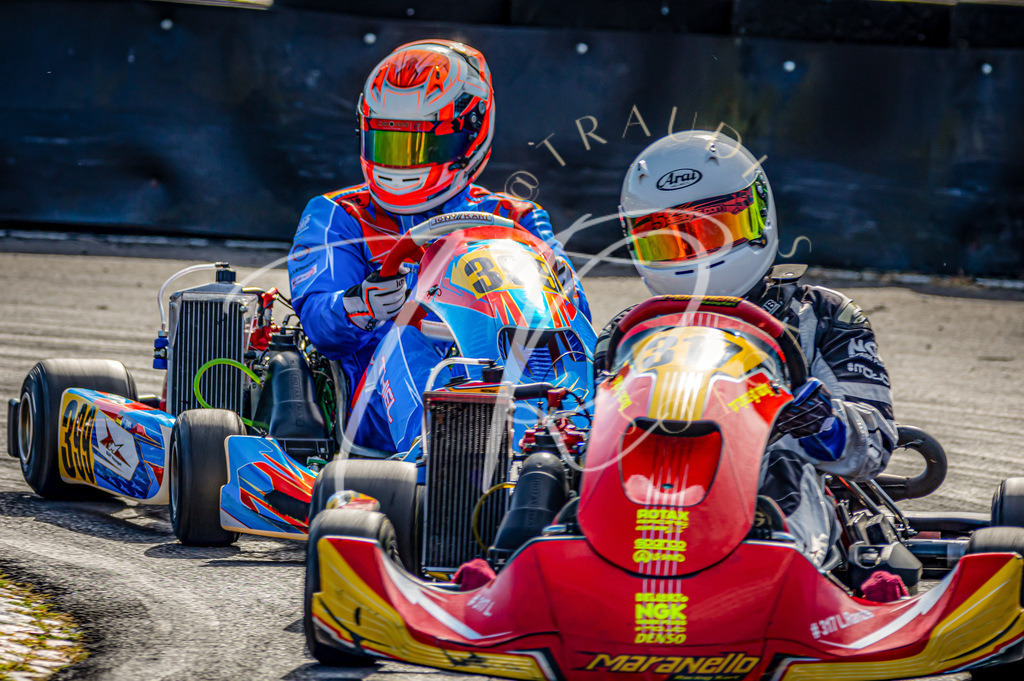 F072FE3E-7EEC-4099-BC42-221239AF52F3 | traudl_s_fotos