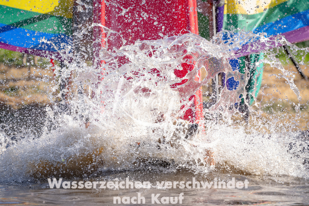 1735_ZZ91098 | kk-dogfotos