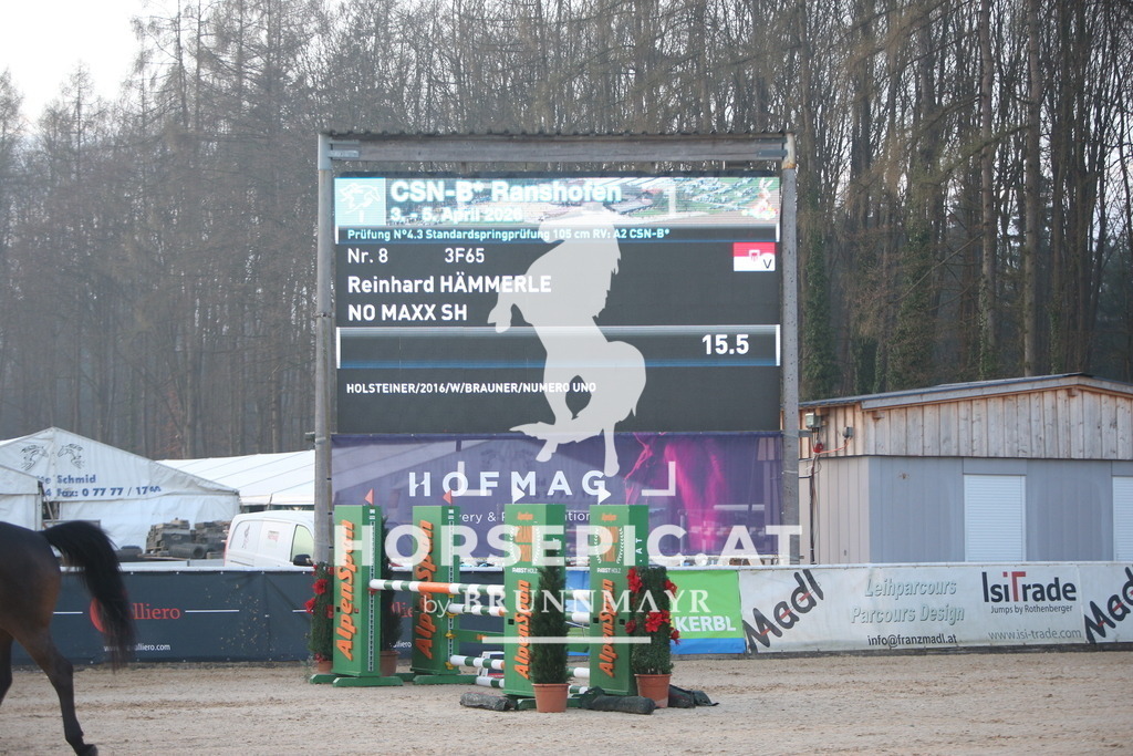 AS8V4180 | Willkommen bei Brunnmayr - Design & Fotografie – Ihrem Spezialisten für Reitturniere und Pferdeveranstaltungen in Oberösterreich, Salzburg und Bayern! Seit über 17 Jahren sind wir leidenschaftlich dabei.