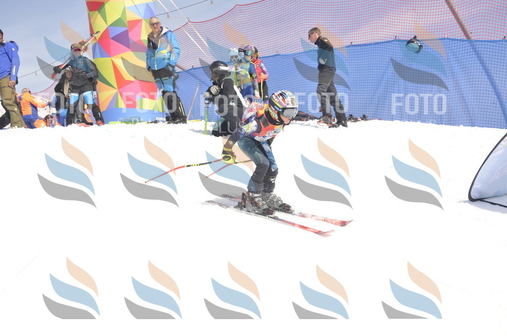 _ELE9238 | holidayphoto