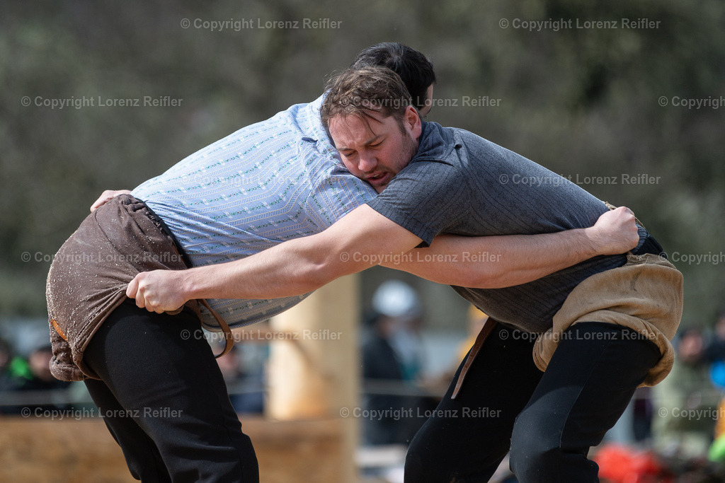 Schwingen -  Rheintal-Oberländer 2024 | Trübbach, 24.3.24, Schwingen - Rheintal-Oberländer.