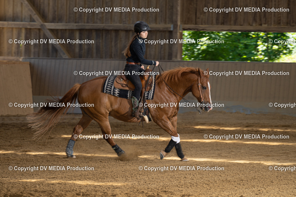 DSC00037 | dv-media-shop - Realisiert mit Pictrs.com