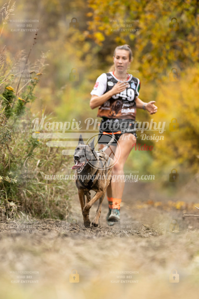 MompixPhotography_ICF_WC_2024_SA_Run_-264 | PayLife