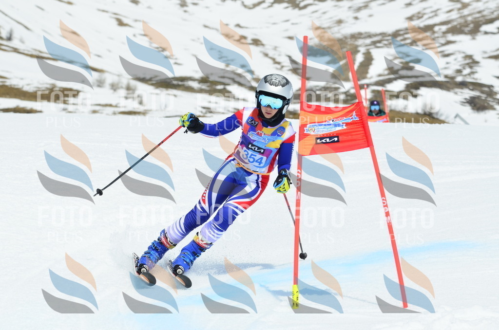 _ELE2733 | holidayphoto