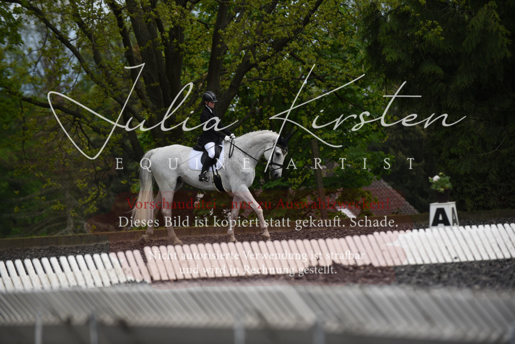 20230513_JK-Röhrsdorf-16-287 | Pferde- und Turnierfotografie in Westsachsen. Pferdeportraits, Auftragszeichnungen und intuitive Kunst.