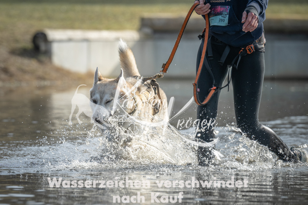 1043_ZZ99370 | kk-dogfotos