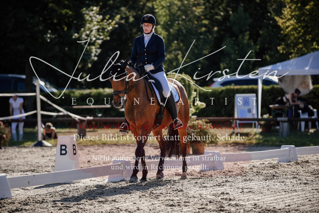 DSC_0399 | Pferde- und Turnierfotografie in Westsachsen. Pferdeportraits, Auftragszeichnungen und intuitive Kunst.