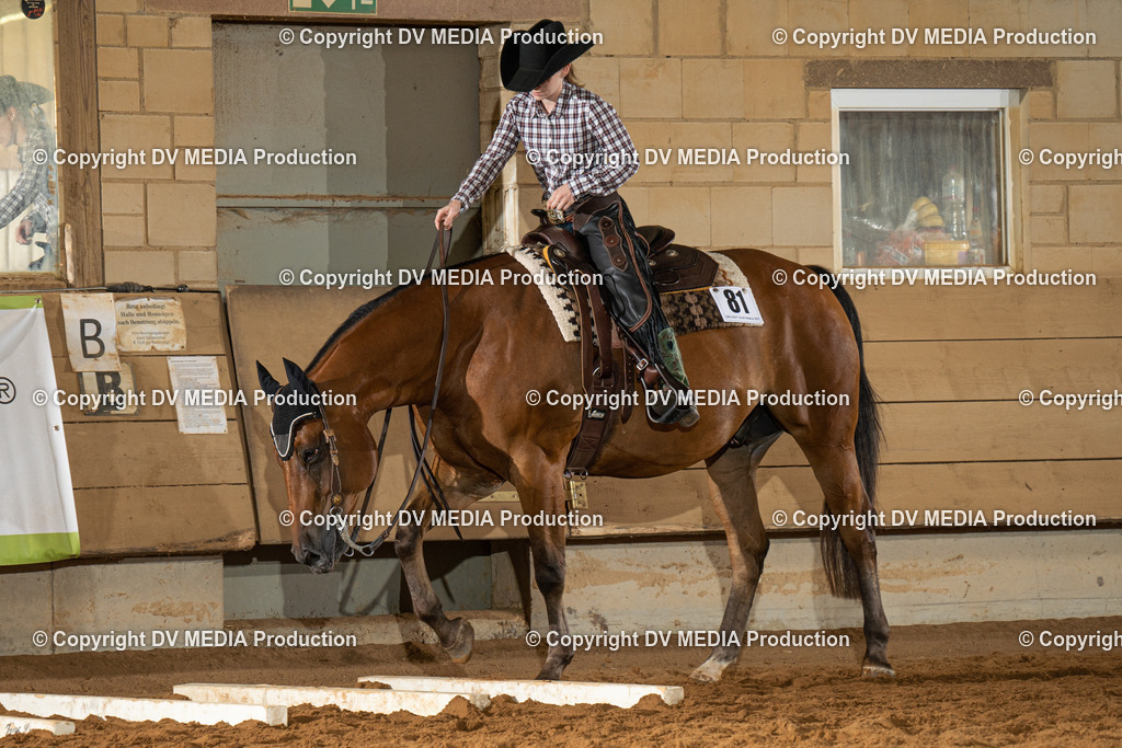 NID01655 | dv-media-shop - Realisiert mit Pictrs.com