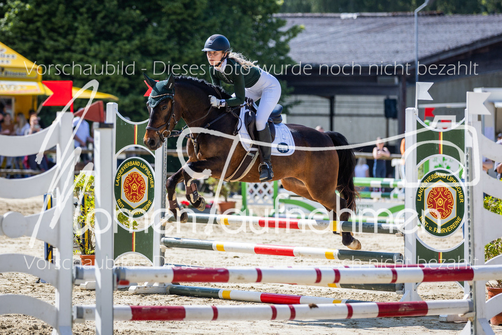 Donop24-ESpr-079 | MomenTaufnahmen Pferdesportfotos