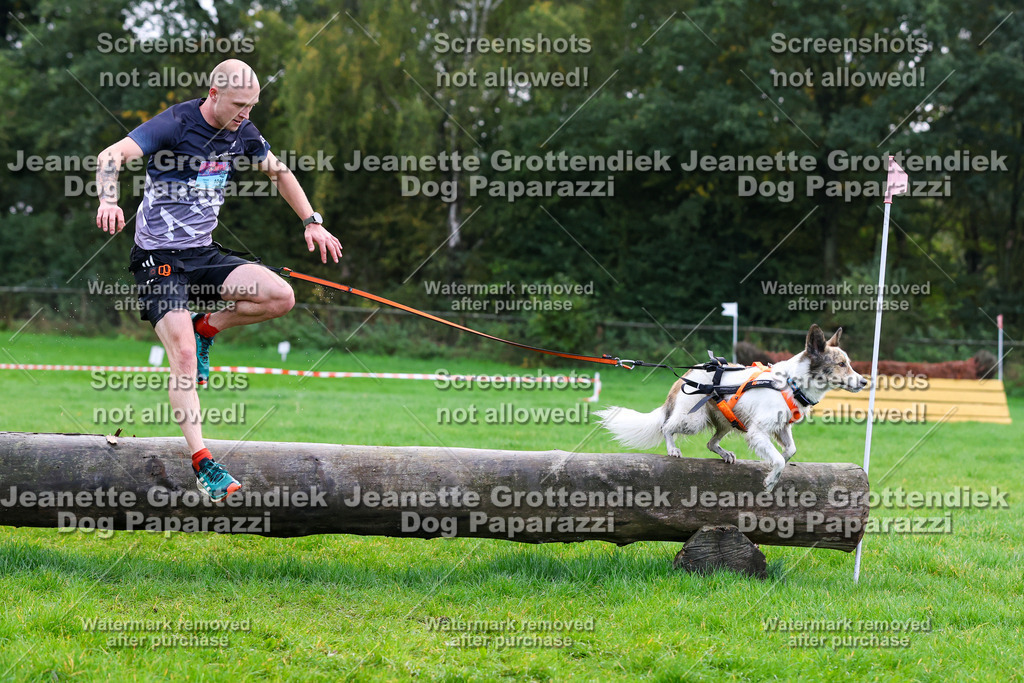 Dog Paparazzi -  SD1026-929 | Dog Paparazzi Jeanette Grottendiek Fotografie & Videografie - Realisiert mit Pictrs.com