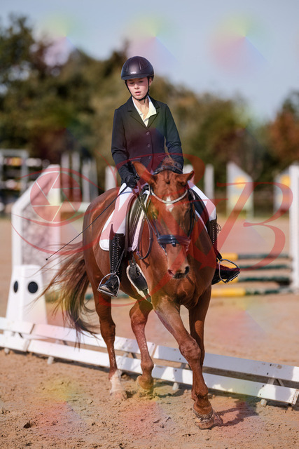 2026_10_03_Siefer-Hof_114133_Z81_84670609 | Professionelle Reitsport-, Turnier- und Eventfotografie von Robert Broda. Galerien mit ausgewählten und bearbeiteten Bildern direkt online ansehen und bestellen.