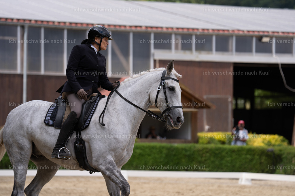 WS_DR_43_sinafilmart_IN01323 | working equitationturnier fotograf videograf stoibphotography marixx film working equitation deutschland reitsport turnierfotografie eventfotografie equestrian events