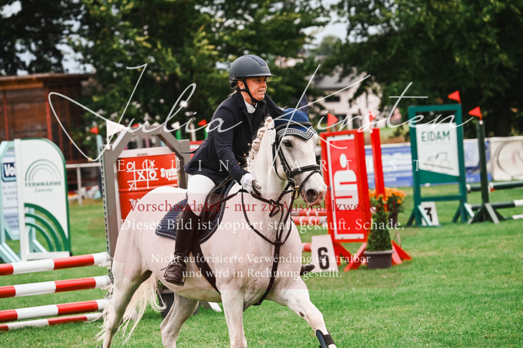 DSC_5954 | Pferde- und Turnierfotografie in Westsachsen. Pferdeportraits, Auftragszeichnungen und intuitive Kunst.