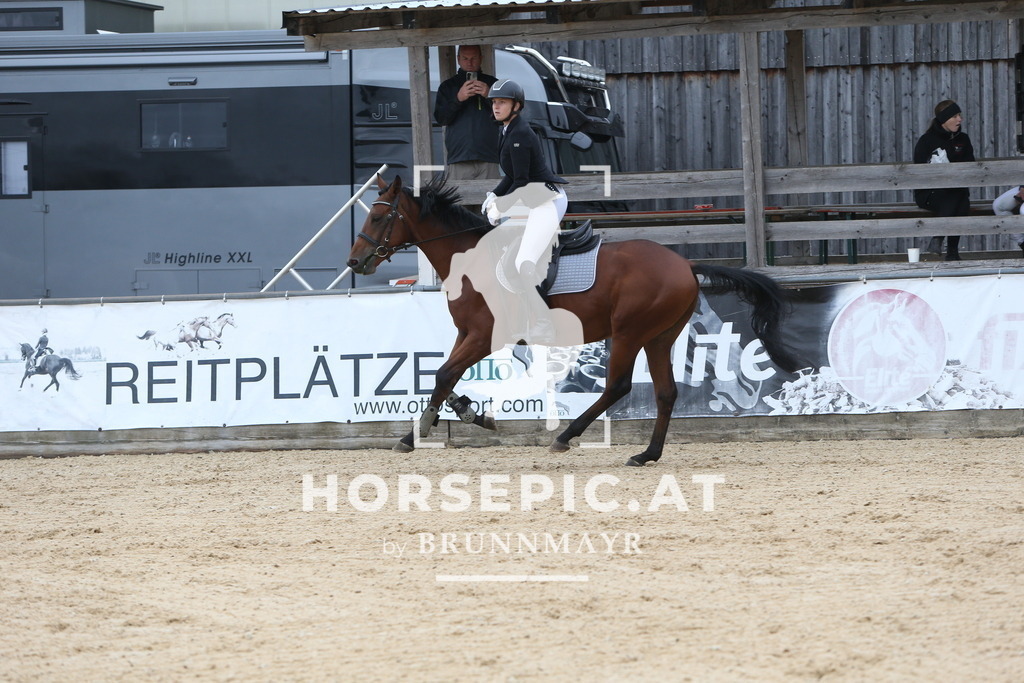 DL2Q0905 | Willkommen bei Brunnmayr - Design & Fotografie – Ihrem Spezialisten für Reitturniere und Pferdeveranstaltungen in Oberösterreich, Salzburg und Bayern! Seit über 17 Jahren sind wir leidenschaftlich dabei.