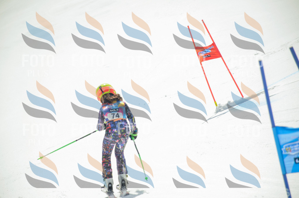 _ELE5481 | holidayphoto