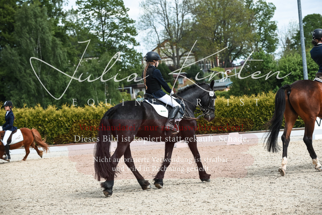 20230518_JK-Röhrsdorf-11-0939 | Pferde- und Turnierfotografie in Westsachsen. Pferdeportraits, Auftragszeichnungen und intuitive Kunst.