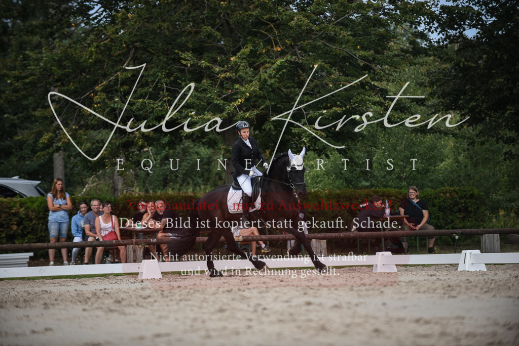 DSC_8636 | Pferde- und Turnierfotografie in Westsachsen. Pferdeportraits, Auftragszeichnungen und intuitive Kunst.