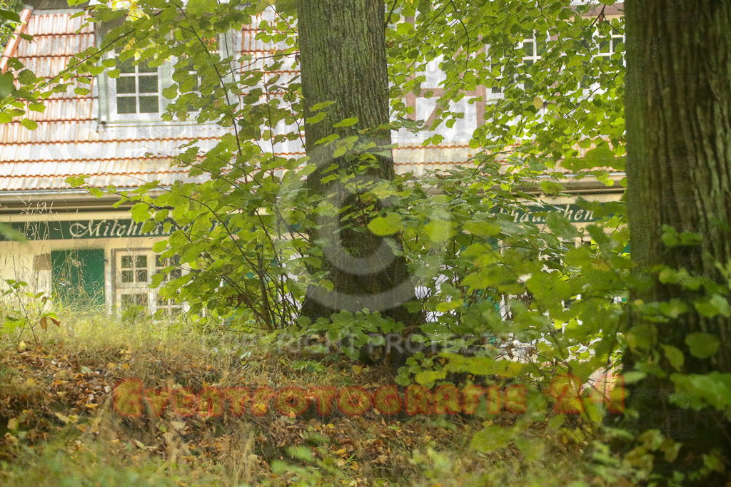 220918_1045_EX2_5892 | Sport- und Eventfotografie