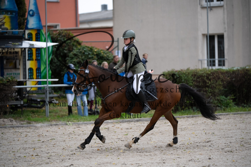 A7V08411 | Pferdefotograf