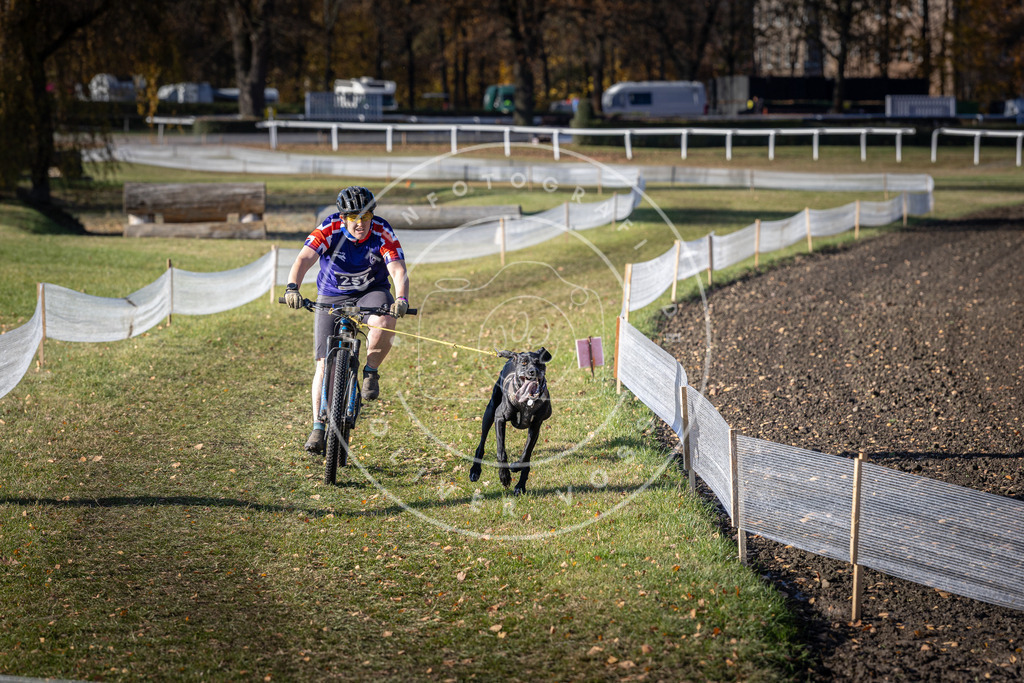 CaniXpix_DV3A4723 | Hundefotografie, Tierfotograf, Pfotenfotografie, Fotoshooting Hund, Hunde Portrait, Hundesport, Hundeportraits, Heideshooting, Hunde, Sportfotograf, Hundefotograf, Turnierhundsport, THS,  - Realisiert mit Pictrs.com